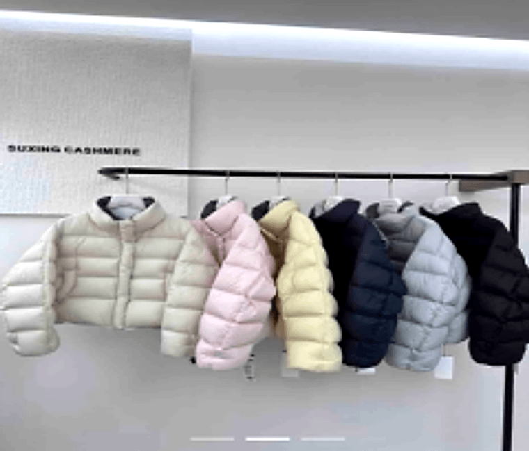 Short Stand-Collar Goose Down Jacket