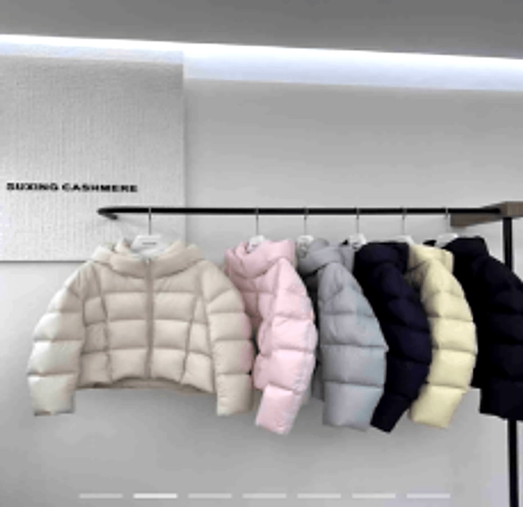 Short Hooded Goose Down Jacket