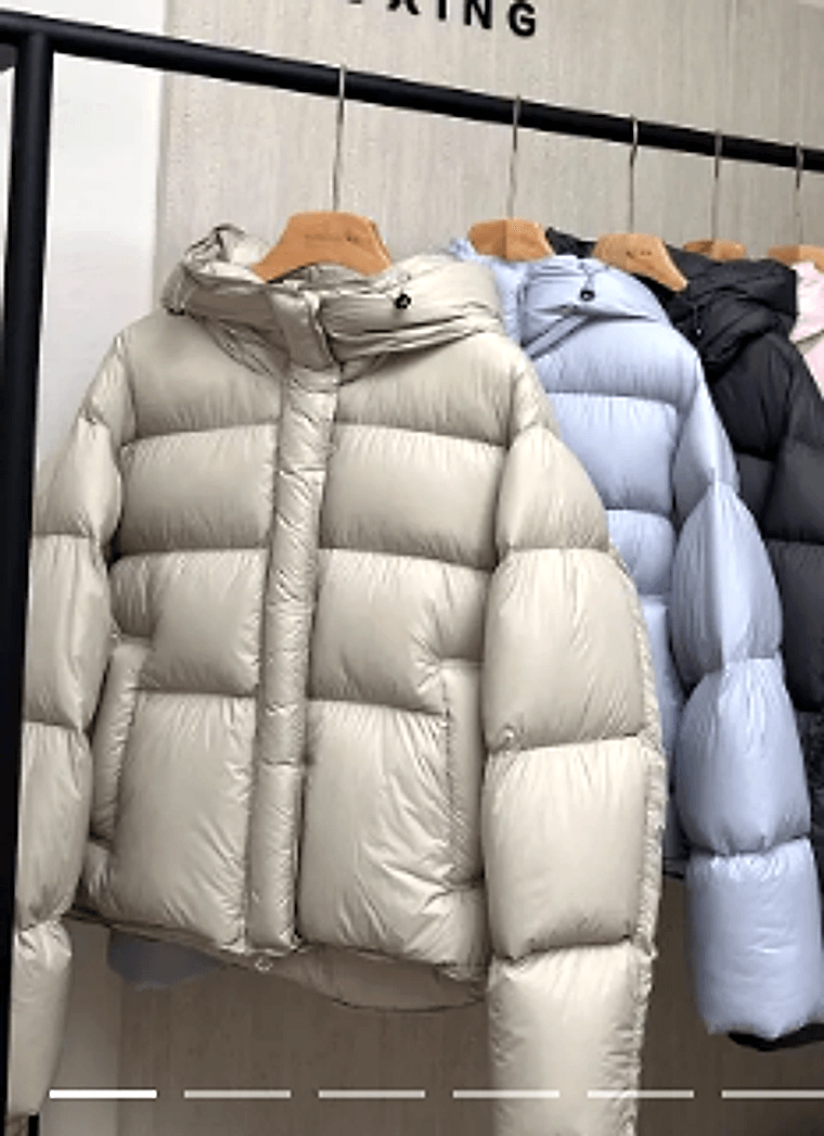 Short Hooded Goose Down Jacket